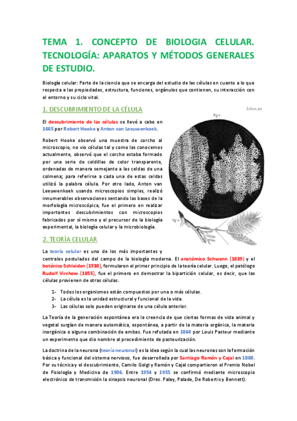 Miniatura del documento TEMA-1.pdf