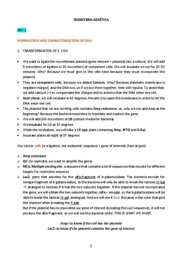 Miniatura del documento EG-PRACTIQUES.pdf