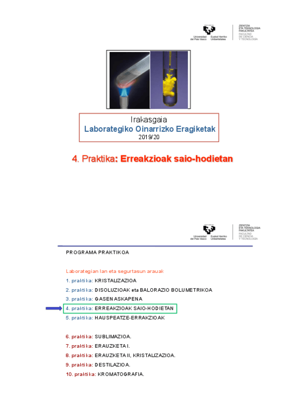 Miniatura del documento 4Perreakzioaksaio-hodietan2019.pdf