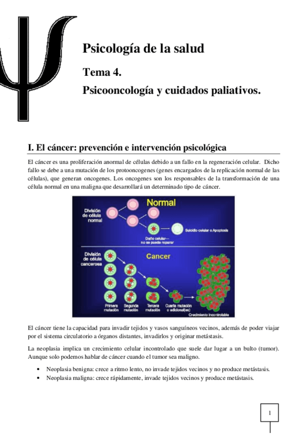 Miniatura del documento T04-Salud.pdf