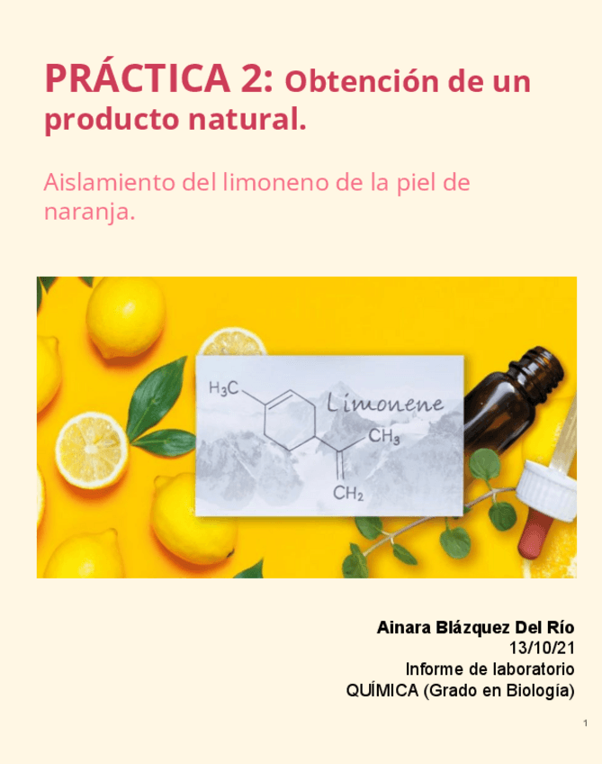 Miniatura del documento Informe-practica-2.pdf