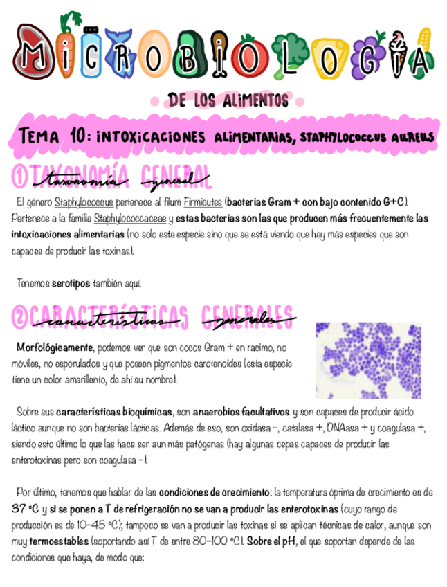 Miniatura del documento Tema-10-Staphylococcus-aureus.pdf