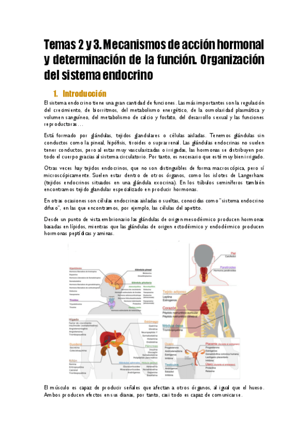 Miniatura del documento Temas-2-y-3.pdf