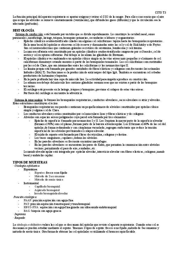 Miniatura del documento CITO-T3.1.pdf