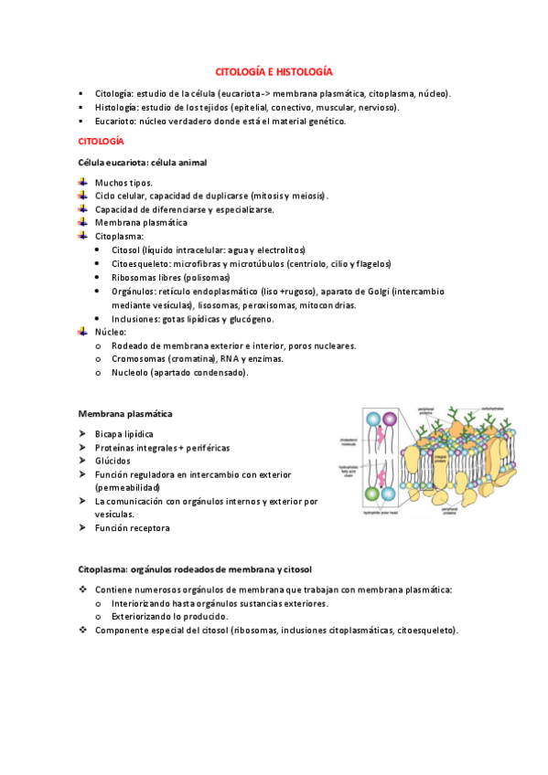 Miniatura del documento 3.pdf