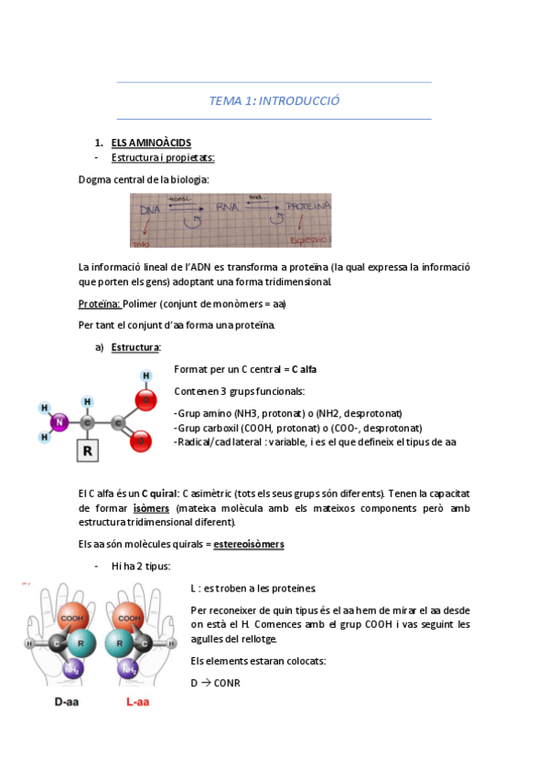Miniatura del documento todo.pdf