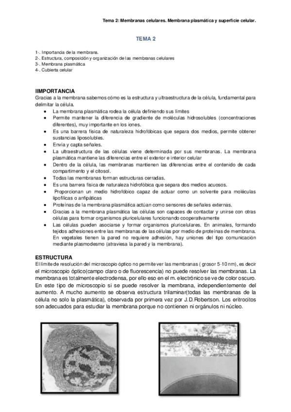 Miniatura del documento TEMA-2.pdf