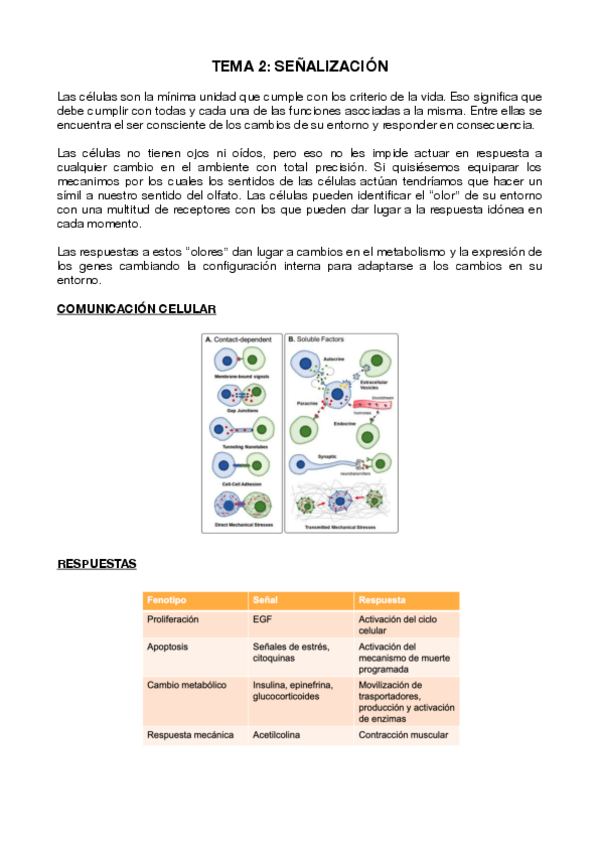 Miniatura del documento T2.pdf