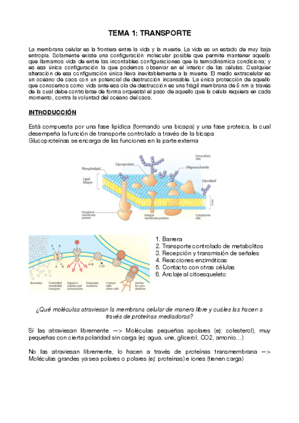 Miniatura del documento T1.pdf