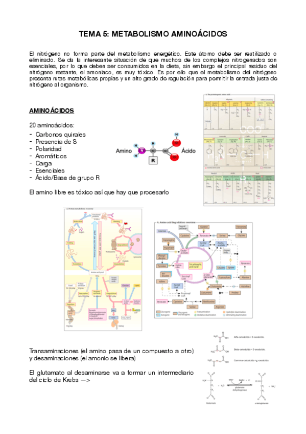 Miniatura del documento T5.pdf