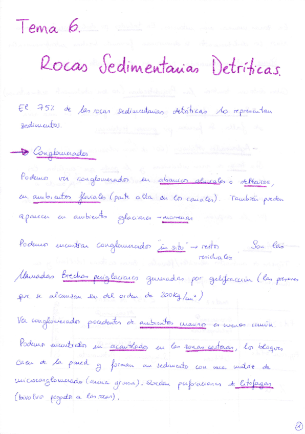 Miniatura del documento Tema 6 R.Sedimentarias Detríticas.pdf