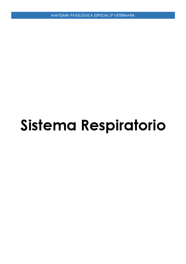Miniatura del documento Sistema-Respiratorio.pdf