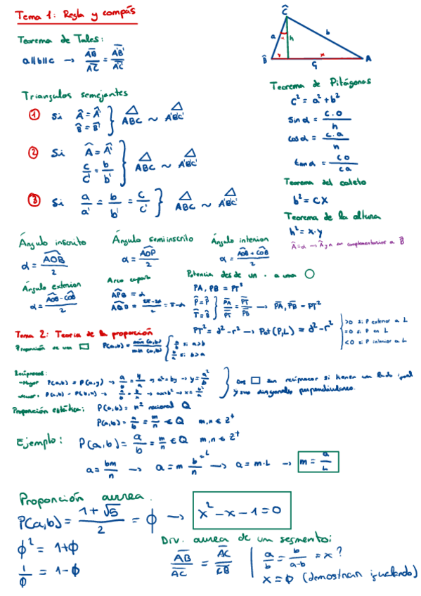 Miniatura del documento CHULETA-MATES.pdf