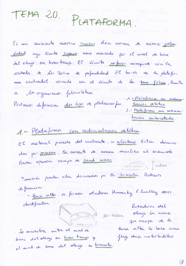 Miniatura del documento Tema 20 Plataformas.pdf