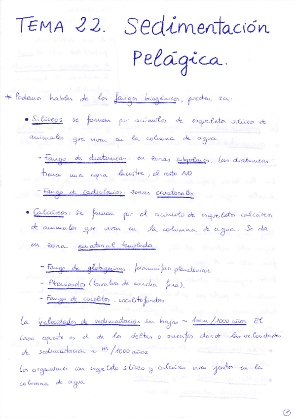 Miniatura del documento Tema 22 Sedimentación Pelágica.pdf