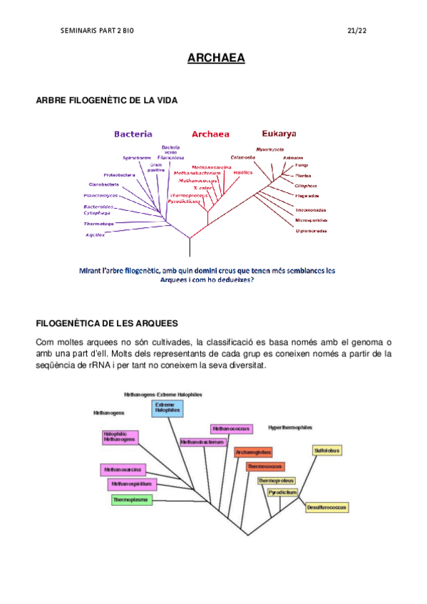 Miniatura del documento ARCHAEA.pdf