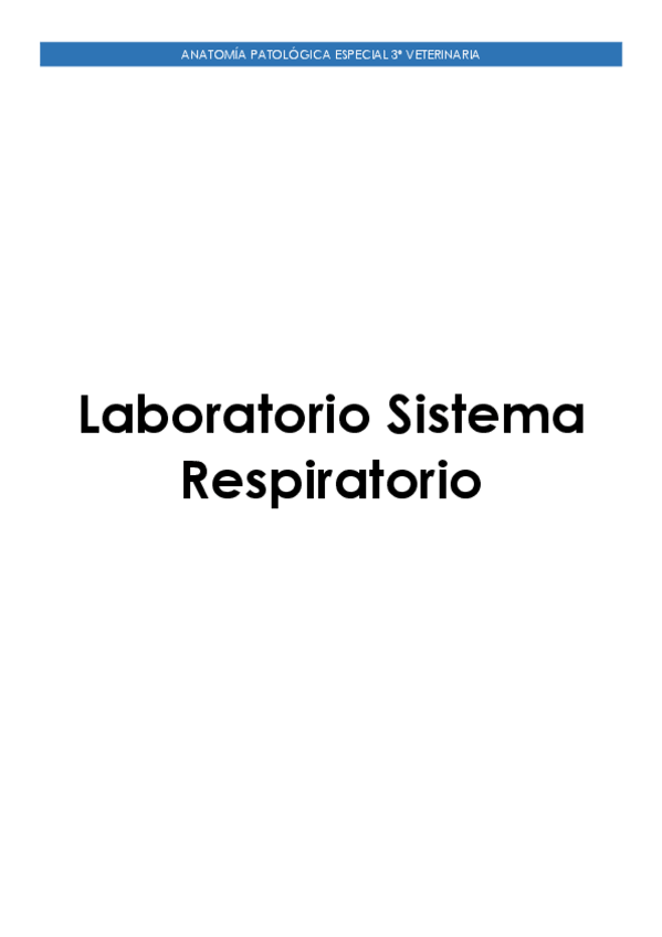 Miniatura del documento Laboratorio-Sistema-Respiratorio.pdf