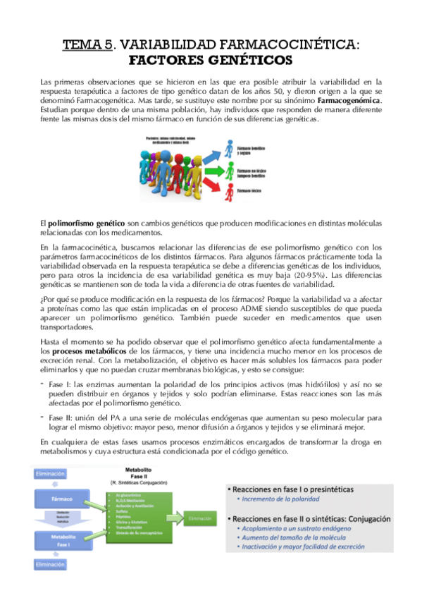 Miniatura del documento Tema-5-Factores-geneticos.pdf