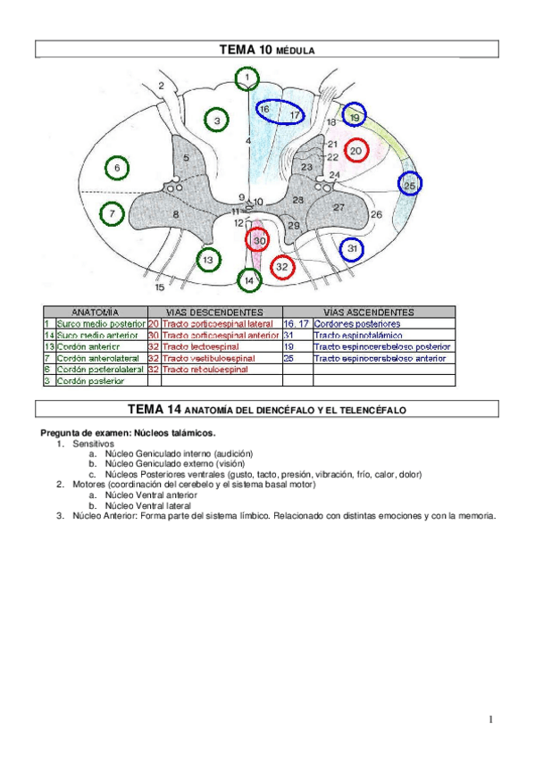 Miniatura del documento SN.pdf