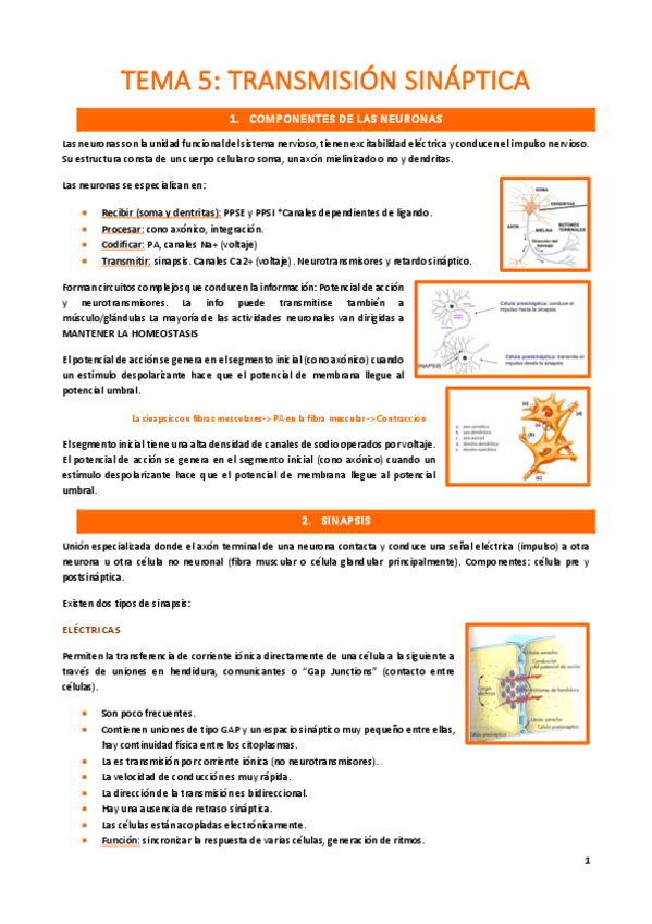 Miniatura del documento tema-5.pdf
