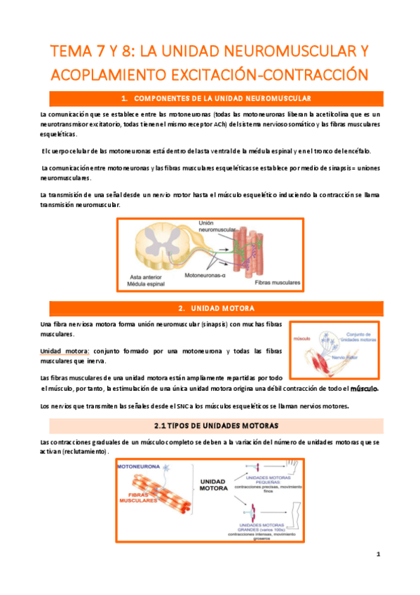 Miniatura del documento tema-7-y-8.pdf