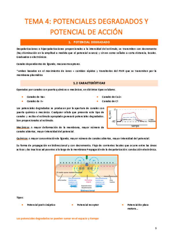 Miniatura del documento tema-4.pdf