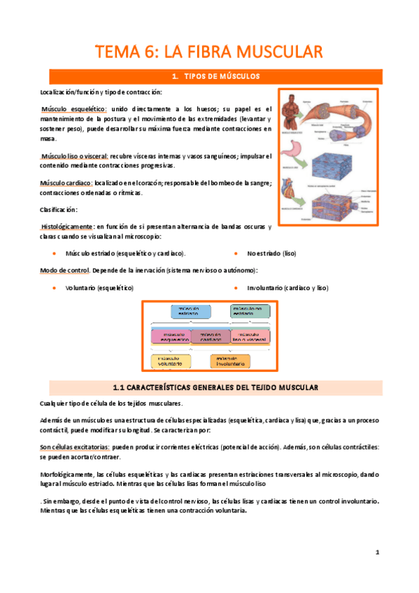 Miniatura del documento tema-6.pdf