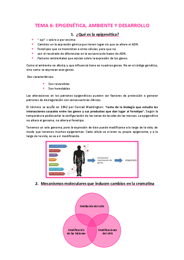 Miniatura del documento TEMA-6.pdf