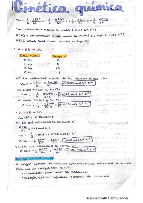 Miniatura del documento CamScanner-10-09-2022-12.pdf