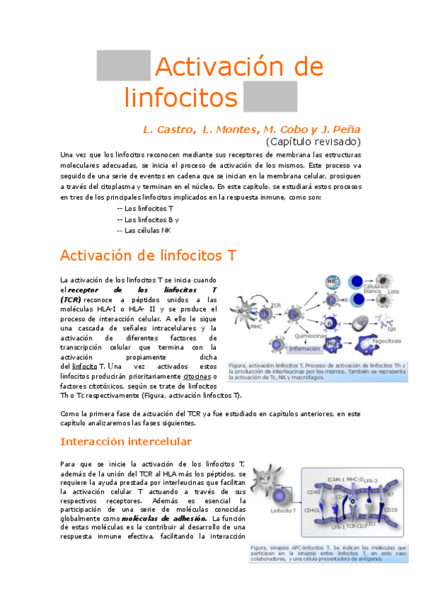 Miniatura del documento 10_Activación linfocitos T.pdf