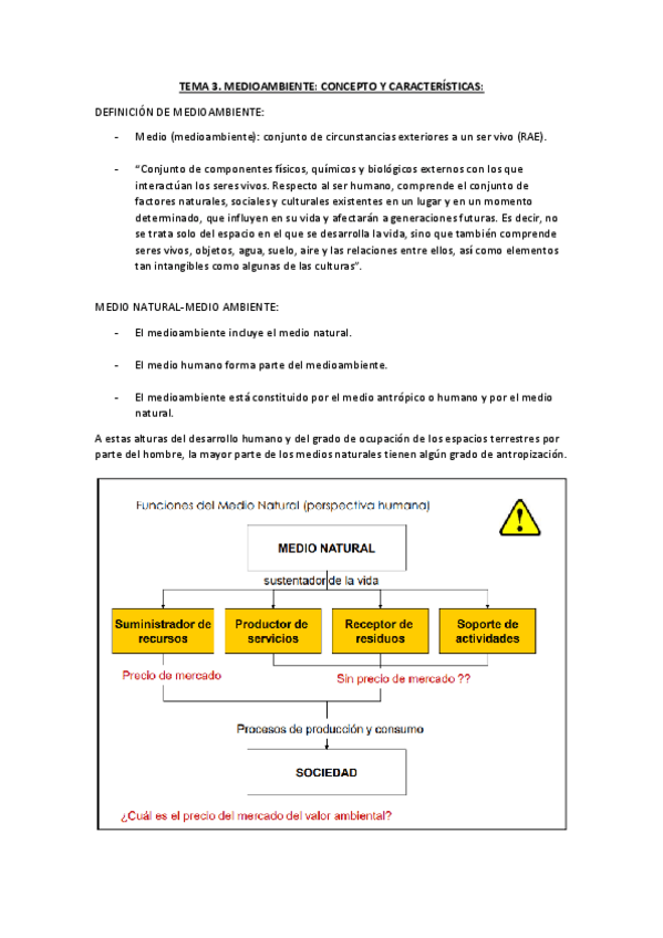Miniatura del documento TEORIA-TEMA-3.pdf
