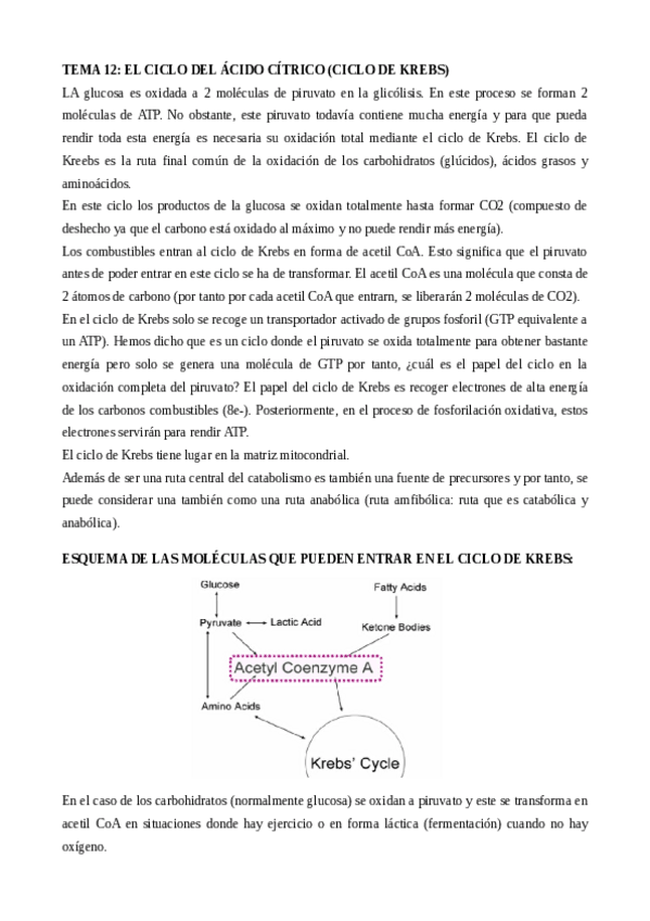 Miniatura del documento TEMA-12-EL-CICLO-DEL-ACIDO-CITRICO-CICLO-DE-KREBS.pdf
