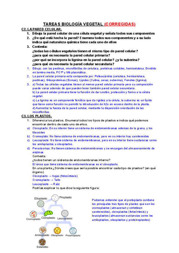 Miniatura del documento TAREAS-B-VEGETAL-21-22-CORREGIDAS.pdf