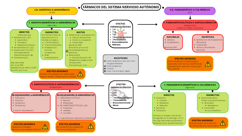 Miniatura del documento ESQUEMA Fármacos del SNA