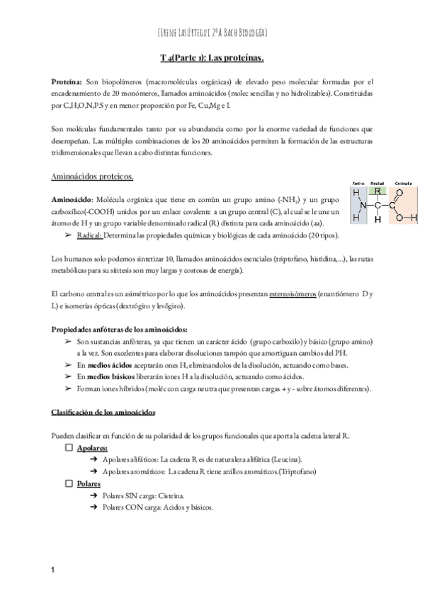 Miniatura del documento T-4Parte-1-Las-proteinas.pdf