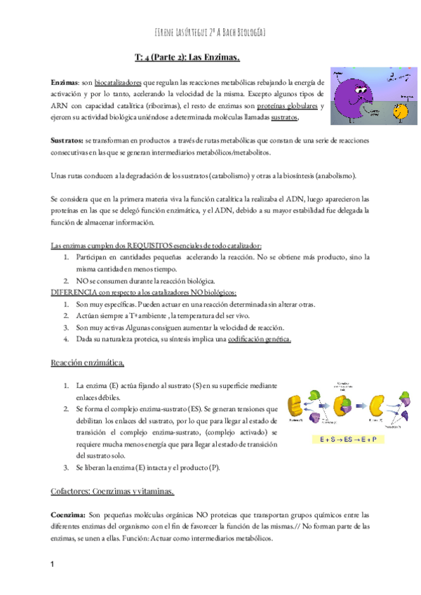 Miniatura del documento T-4-Parte-2-Las-Enzimas.pdf