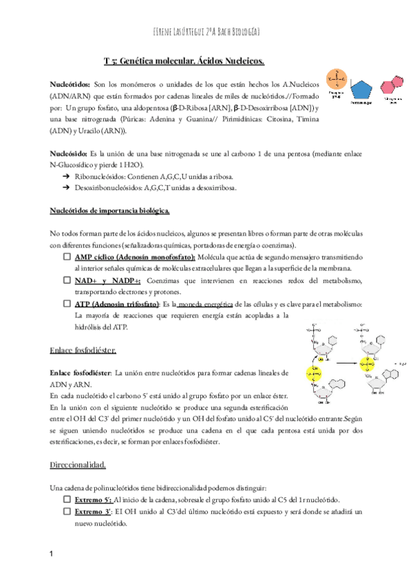 Miniatura del documento T-5-Genetica-molecular-Bach.pdf