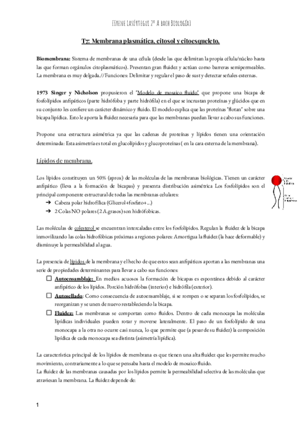 Miniatura del documento T7-Membrana-plasmatica-citosol-y-citoesqueleto-Bach.pdf