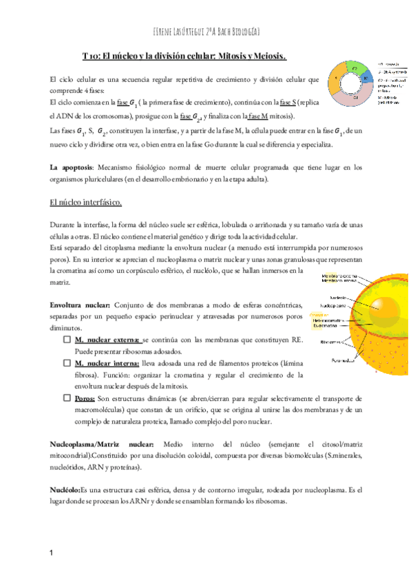 Miniatura del documento T-10-El-nucleo-y-la-division-celular-Mitosis-y-Meiosis.pdf