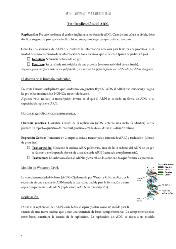 Miniatura del documento T12-Replicacion-del-ADN.pdf