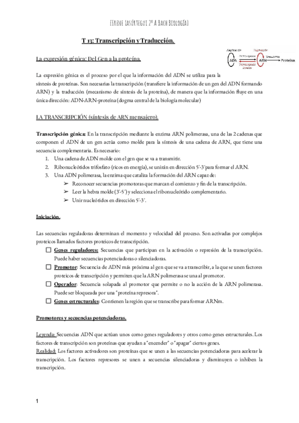 Miniatura del documento T-13-Transcripcion-y-Traduccion.pdf