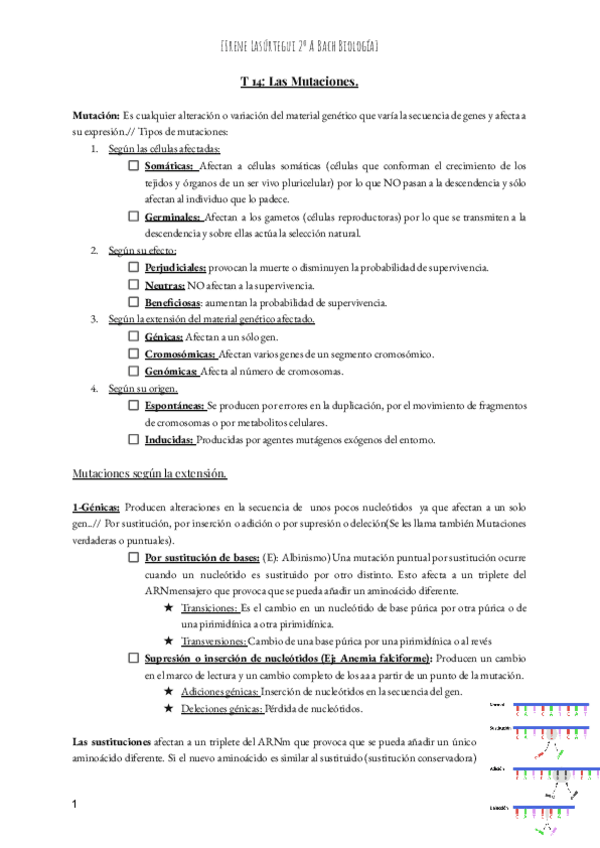 Miniatura del documento T-14-Las-Mutaciones.pdf