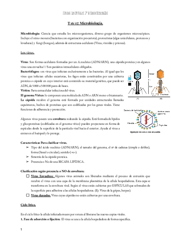 Miniatura del documento T-16-Microbiologia-bachi.pdf