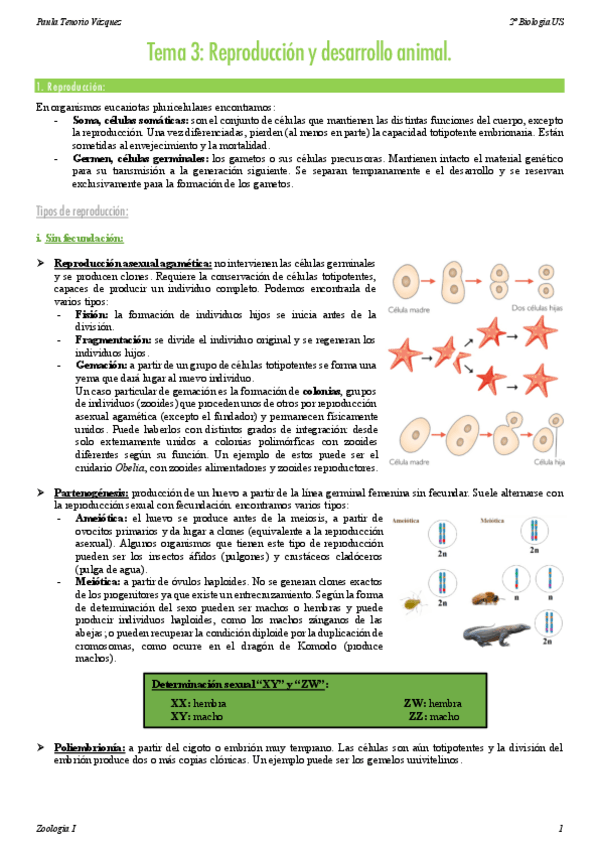 Miniatura del documento Tema-3-Zoologia-I.pdf