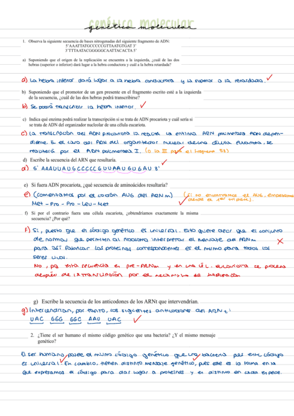 Miniatura del documento Cuestiones-Genetica-Molecular.pdf
