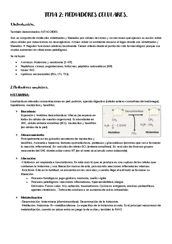 Miniatura del documento TEMA-2.pdf