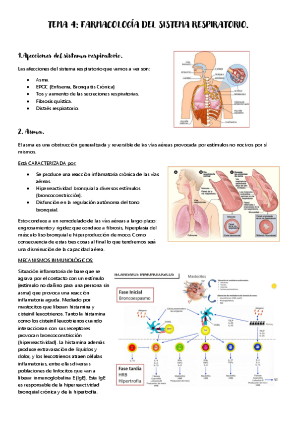 Miniatura del documento TEMA-4.pdf