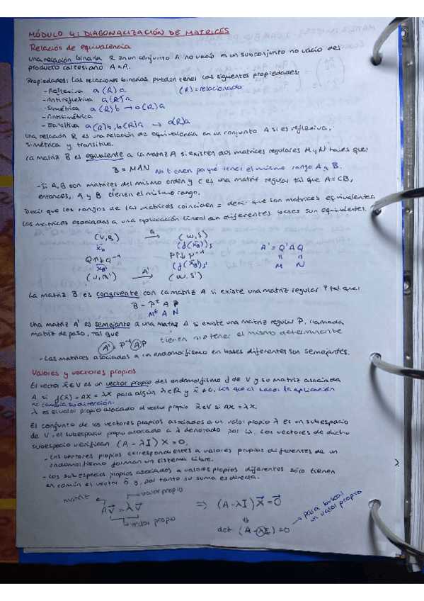 Miniatura del documento TEMA-4-ALGEBRA.pdf