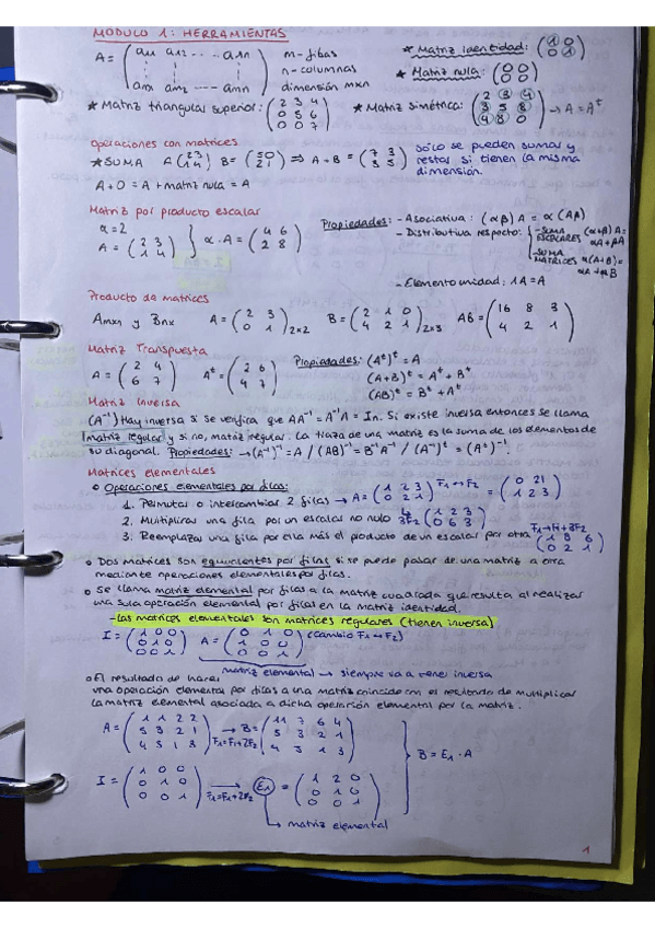 Miniatura del documento TEMA-1-ALGEBRA.pdf