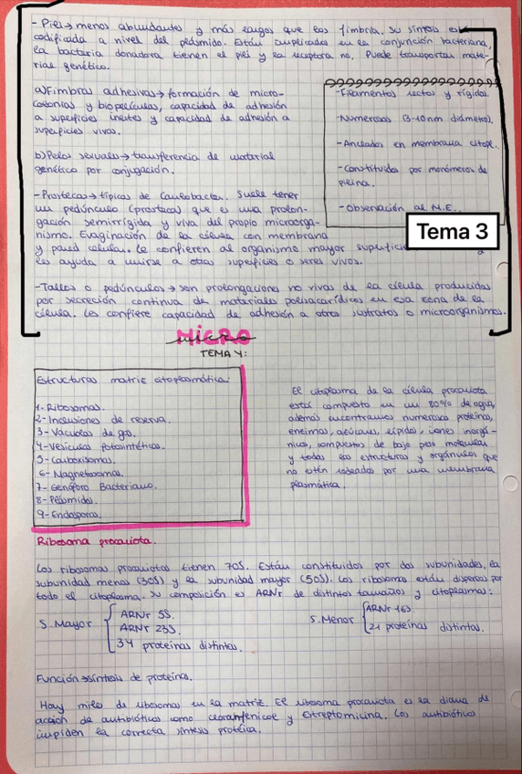Miniatura del documento Micro-tema-4.pdf